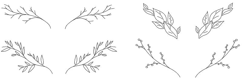 一套树的分支标志或网页设计花卉元素插图。手绘矢量线植物图集。