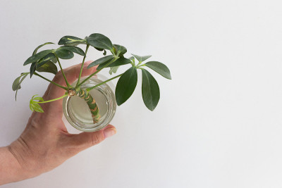 Woman hand holding bottle with water and cutting o
