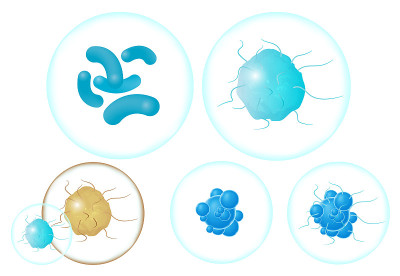 细菌和微生物插图