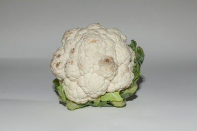 Cauliflower_Light方面