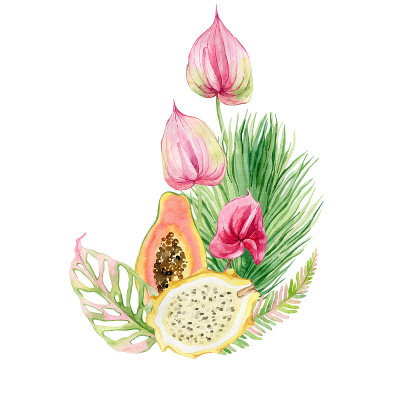 水彩花束，热带水果，鲜花和棕榈叶。