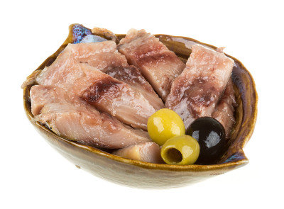 鲱鱼。工作室孤立。