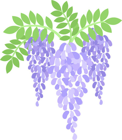 花的插图