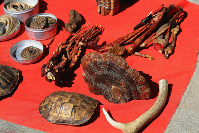 Gingseng-antler-turtle壳。西藏日喀则扎什伦布寺周边市场。1745