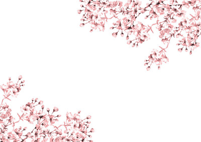 樱花插图