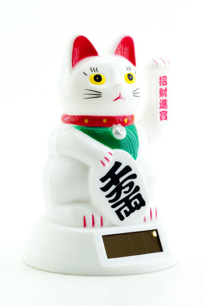 猫与太阳能电池板在白色背景