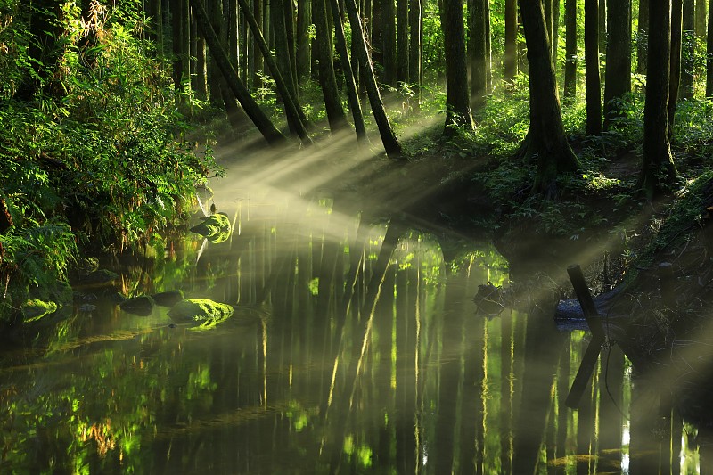 山形县夏河