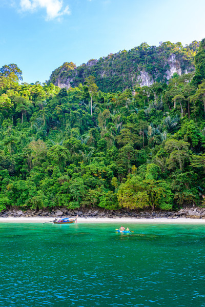 天堂湾的猴子海滩-从Loh Dalum海滩乘船约5分钟- Koh Phi Phi Don岛在甲米，泰