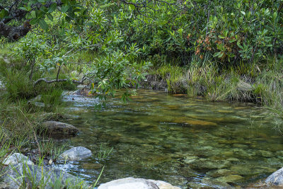 veadeiros的Chapada dos veadeiros