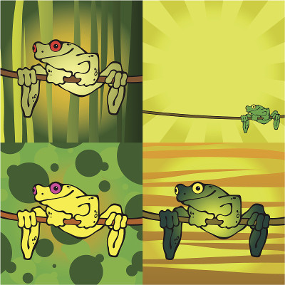 树蛙
