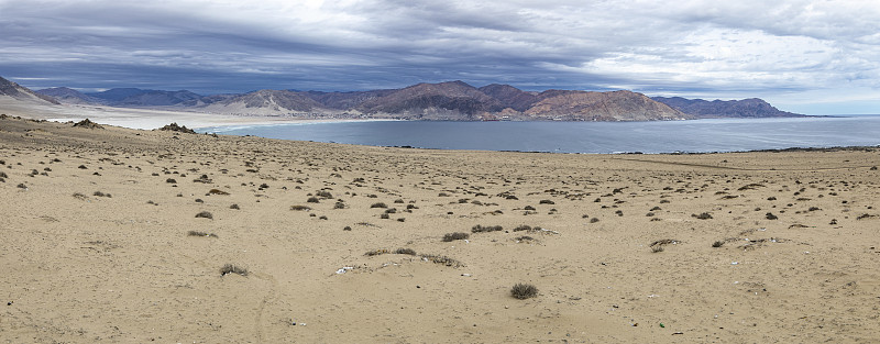 位于智利北部的“阿祖卡Pan de Azucar”国家公园里的“Playa Blanca”，阿塔卡马
