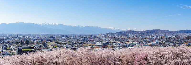 樱花盛开，松相市，日本北部阿尔卑斯山