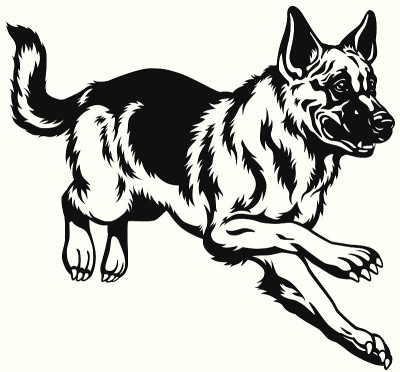 德国牧羊犬黑白