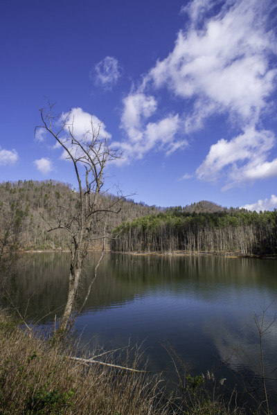 田纳西州Watauga湖,