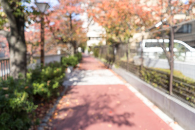 日本沿河小径的景观