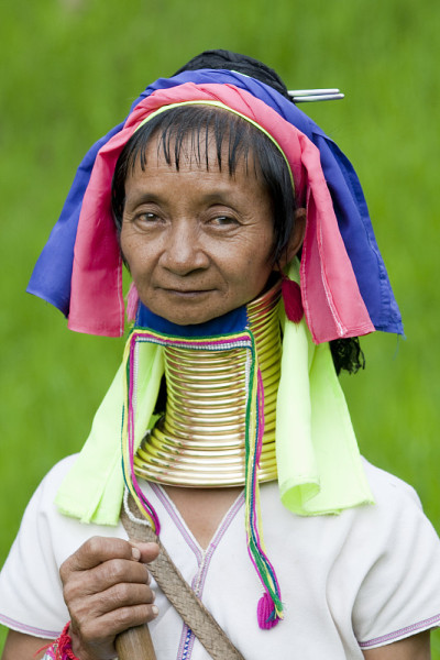 长脖子女人的肖像