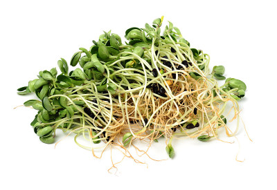 黑豆芽