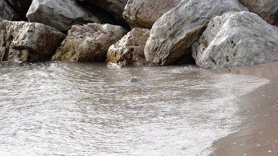 家乡海滨/公园