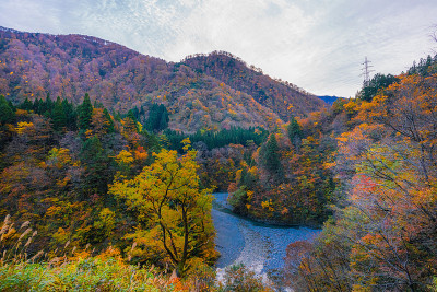 秋谷的风景