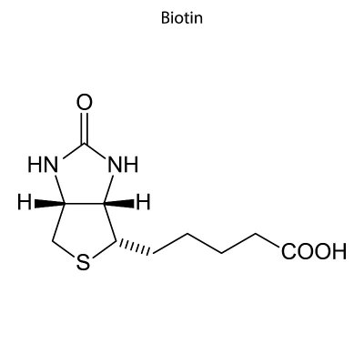 分子骨架式。