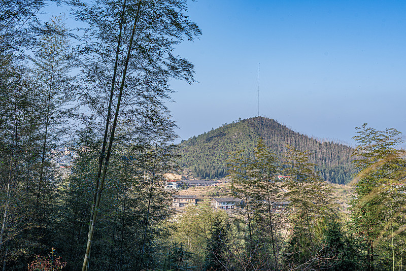 竹林的竹林和遥远的村山