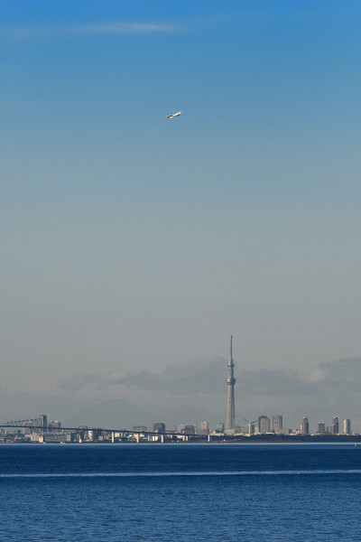 从东京湾俯瞰东京