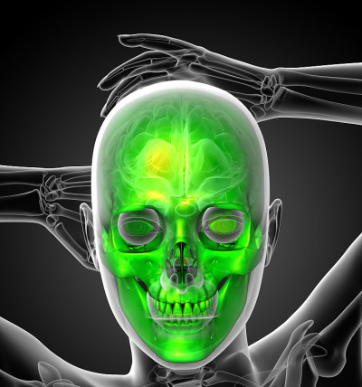 3d渲染医学插图的人类头骨