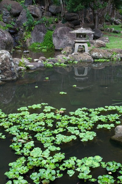 日本水花园