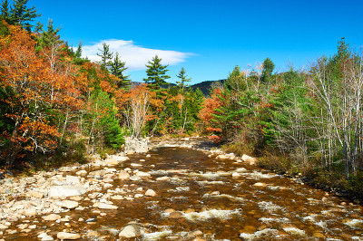 秋日Swift River