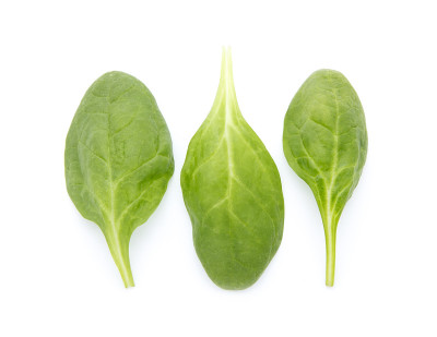 菠菜