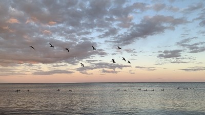 康涅狄格天空研究