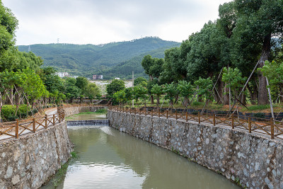 乡村风光，石桥和水车