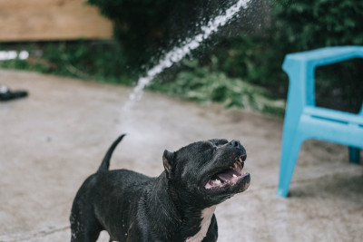 水!