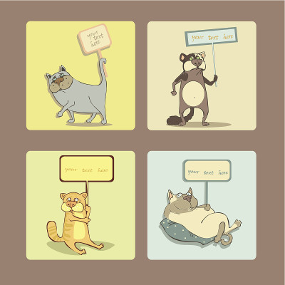 猫