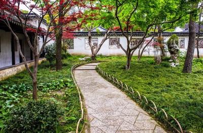 卑微的管理员(Zhuozheng)的花园