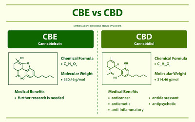 CBE vs CBD, Cannabielsoin vs Cannabidiol水平信息图