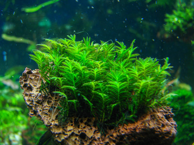水族馆