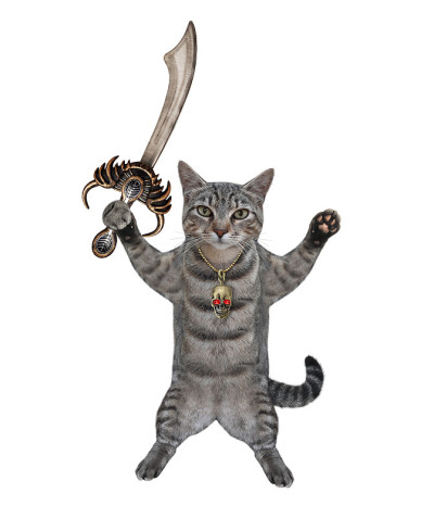 猫灰与海盗弯刀搏斗