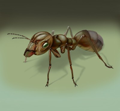 幻想蚂蚁