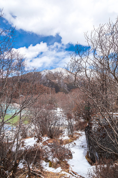 秋天山上有雪和森林
