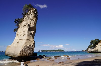 夏日之海是新西兰美丽的卡斯德拉尔集团