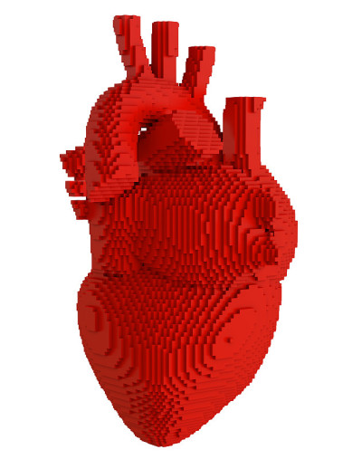 3d打印心脏分离物