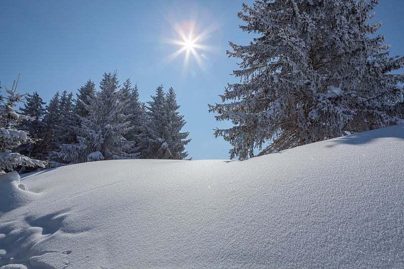 圣诞滑雪假期欧洲阿尔卑斯山风景在阳光下