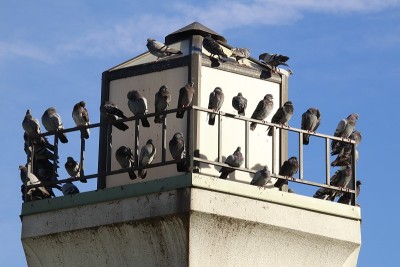 码头建筑
