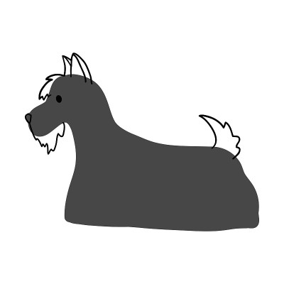 苏格兰梗犬的狗