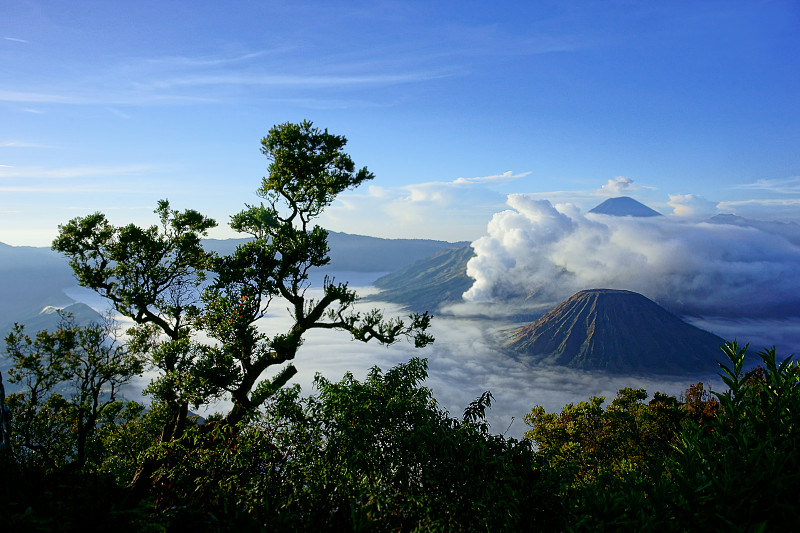 印度尼西亚东爪哇的活火山——布罗莫火山。