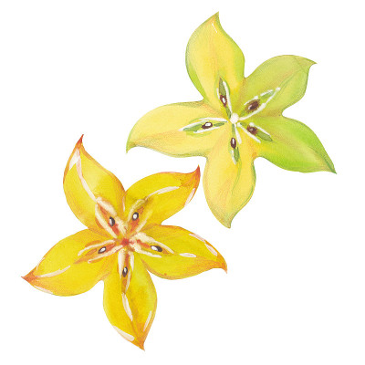 杨桃、杨桃