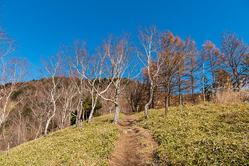 在日本日光的秋季，在美丽的南台山和中禅寺湖徒步旅行