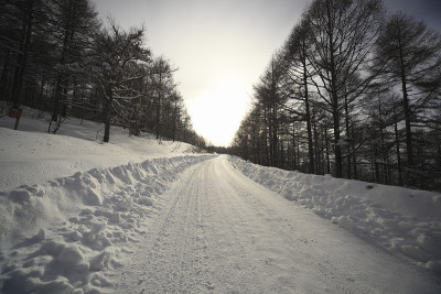 久山高原上的雪道