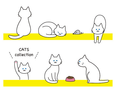 白猫装着玩具和猫食